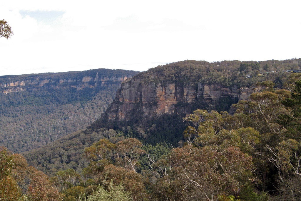 Cliff and Scenic World